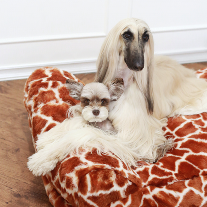 블랙라벨 구름킹방석_XL