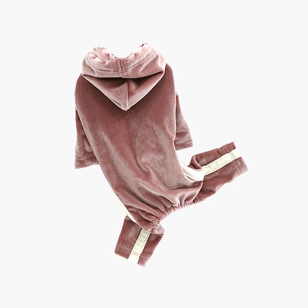 벨베티 수트 - 핑크