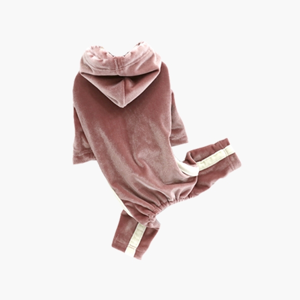 벨베티 수트 - 핑크