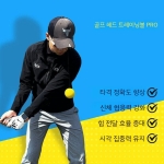 골프 헤드고정 스윙연습기 초보자 자세교정 훈련 휴대용연습기 머리움직임 방지