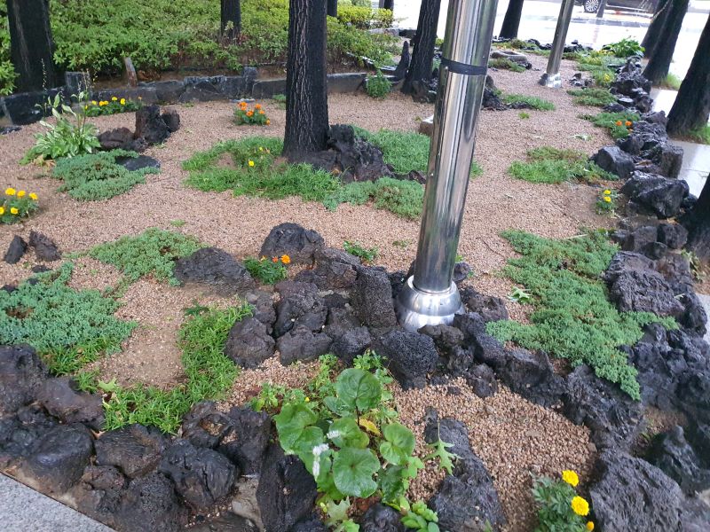 aa52ff66ecd6b660007f5dd60fa7d0cf_184154.jpg aa52ff66ecd6b660007f5dd60fa7d0cf_184154.jpg