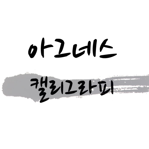 아그네스 캘리세트