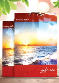 종이쇼핑백(특1호)