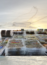 PP(무지)-(310*400mm)-(쥐포-2단P)-(100매)