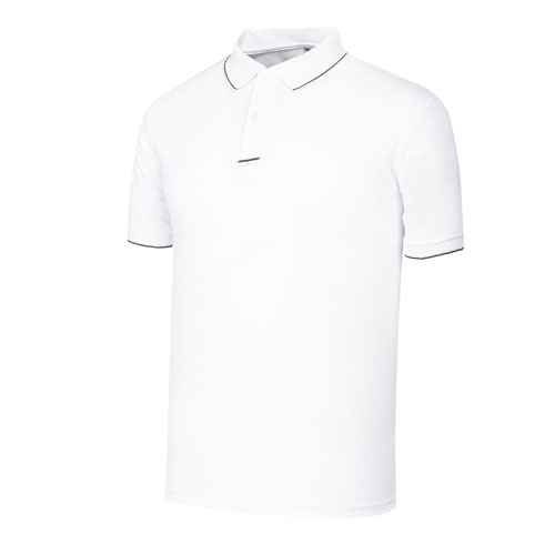 SBN-174 맵시 자가드 배색 카라티 (3COLOR)