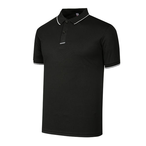 SBN-174 맵시 자가드 배색 카라티 (3COLOR)