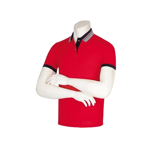 SBN-220 TC 삼선 포인트 카라티 (5COLOR)