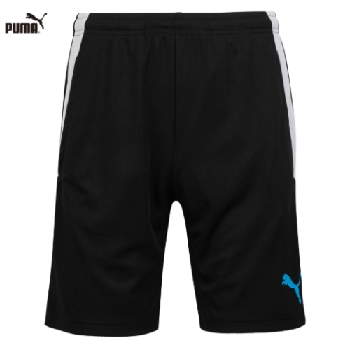 푸마 팀리가 트레이닝 쇼츠 (3COLOR)