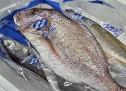 2025-01-16 at 11.05.14.JPG