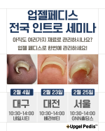 업젤 페디스 인트로 세미나 결제창