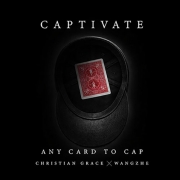 캡티베이트(Captivate)