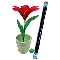 완드 투 플라워(Wand tO Flower)