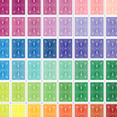 스펙트럼덱(Spectrum Deck by US Playing Card)
