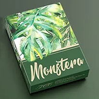 몬스테라덱(Monstera Playing cards)