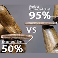 퍼펙트 익스펜디드 쉘(Perfect Expanded Shell)