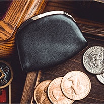 프로페셔널 코인 펄스(Professional Coin Purse)