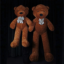 테디 베어 어피어런스(Teddy Bear Appearance)
