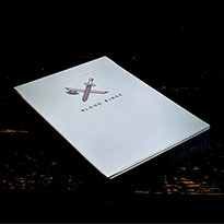 블러드 킹스덱 V2(Blood Kings V2 Playing Cards)