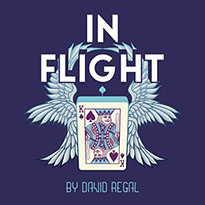 인 플라이트(In Flight by David Regal)