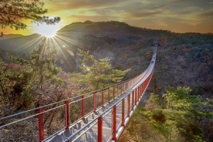 DMZ Tour + Red Suspension Bridge
