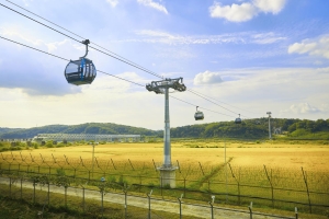 DMZ Tour + Paju DMZ Gondola