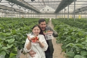 DMZ tour + Strawberry Picking