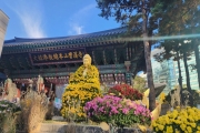 Seoul City Full Day Tour