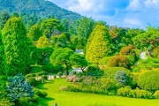 Nami Island and Garden of Morning Calm tour