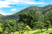 Nami Island and Garden of Morning Calm tour