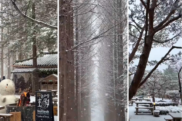 Nami Island Snow Day Trip