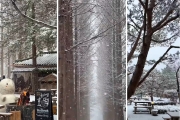 Nami Island Snow Day Trip
