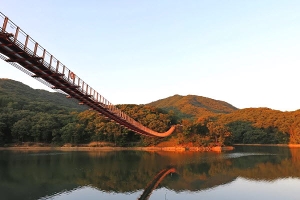 DMZ Tour + Majang Lake Suspension Bridge