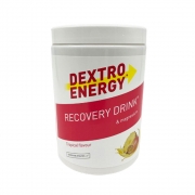 덱스트로에너지 리커버리 드링크 (365g)
