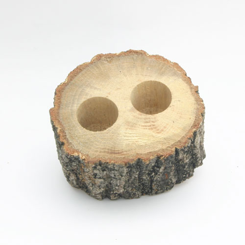 먹이접시목 2구