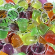 곤충젤리 대량판매