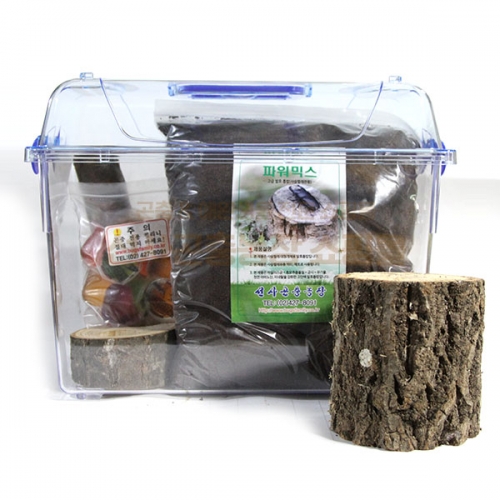 사슴 클린 특대 세트