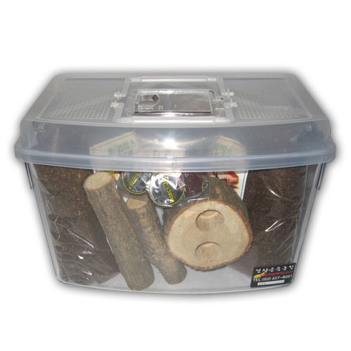 사슴벌레용 일반 대 셋트