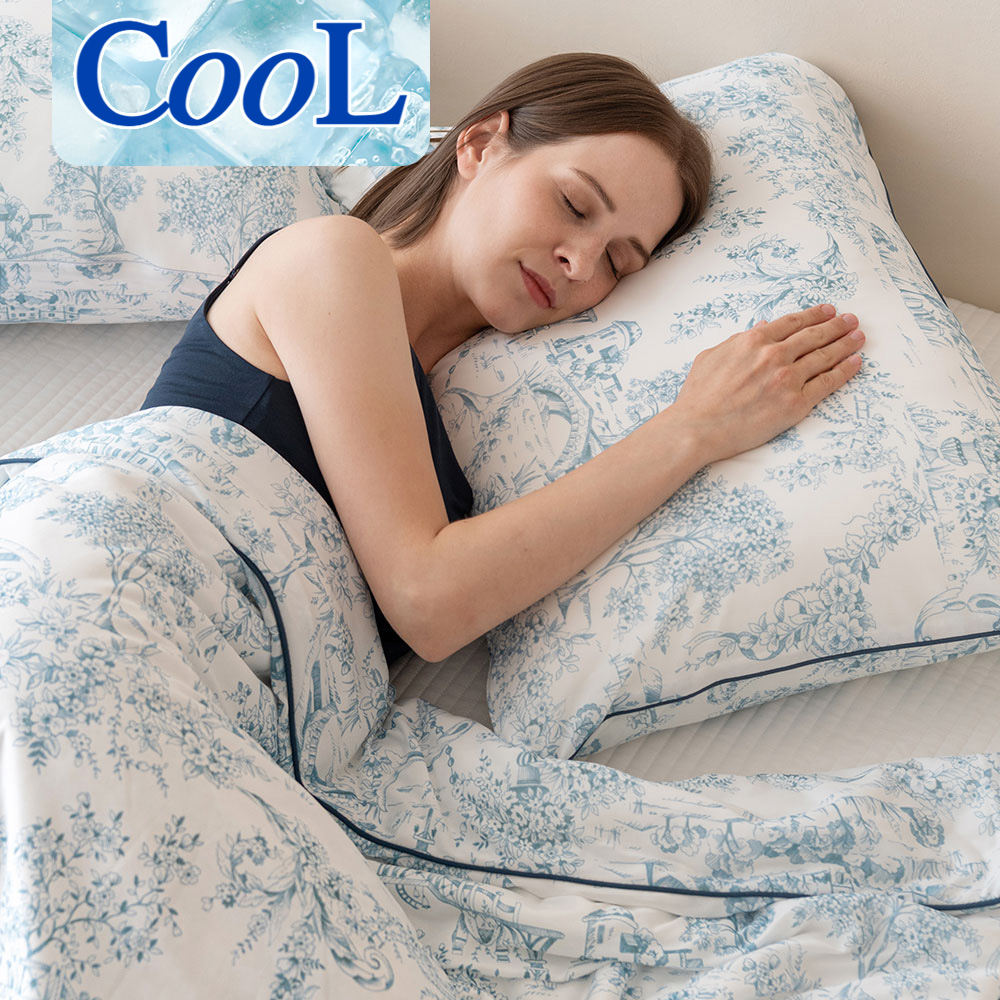 냉감 베개커버 뜨왈드주이 여름베개