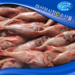 업소 식당용 냉동볼락 냉동붉은볼락 한박스 12kg 60마리 장문볼락 열기 붉볼락 빨간생선 구이 매운탕용 생선