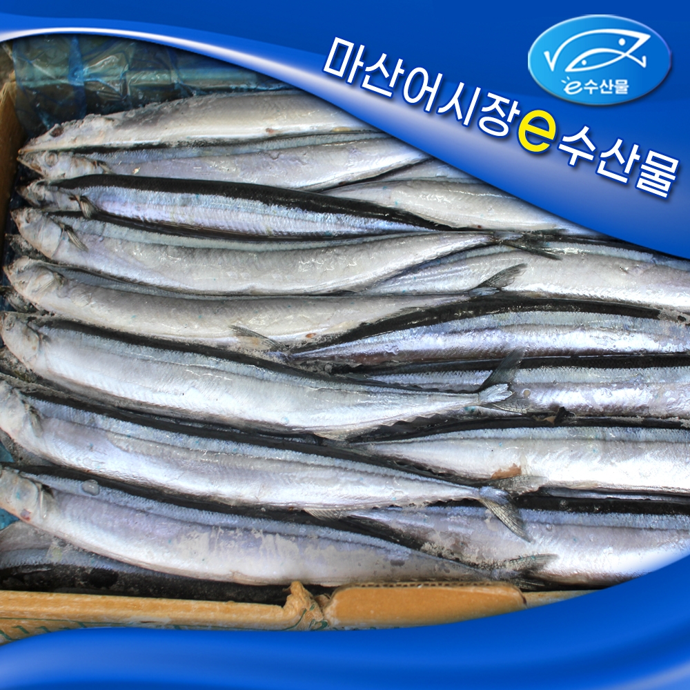 1번 꽁치한박스 냉동꽁치 9kg 70마리 내외 큰 꽁치 구이 조림 도매 식자재