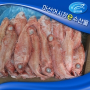 업소 식당용 냉동볼락 냉동붉은볼락 한박스 12kg 40마리 장문볼락 열기 붉볼락 빨간생선 구이 매운탕용 생선