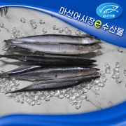 꽁치대 8마리 고급선동 큰 꽁치 8마리 냉동꽁치 꽁치구이 조림용 간편포장