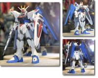 Freedom Gundam (11) (117983)