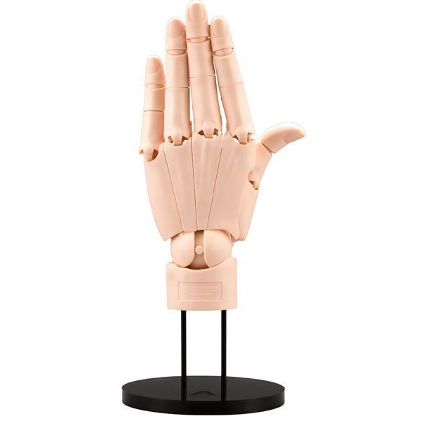 ARTIST SUPPORT ITEM 핸드 모델 /L - PALE ORANGE 