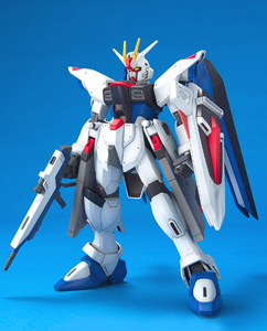 1/100 ZGMF-X10A Freedom Gundam (119259)