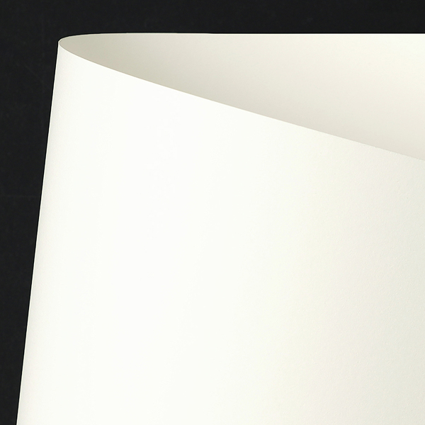 [클래식 크래스트] 에그쉘 에이 브릴리언트 화이트(A. Brilliant White) 788x1091mm