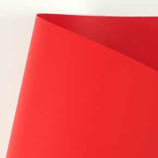 [슈퍼와일드] 파일로레드(Philo Red) 787x1092mm