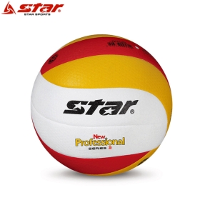 배구공 뉴프로페셔널2
