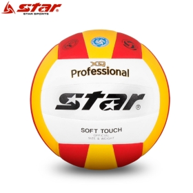 배구공 XQ프로페셔널 칼라 5호