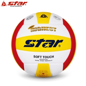 배구공 대시 칼라